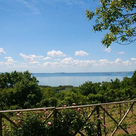 Landsted Gazzetta Bolsena