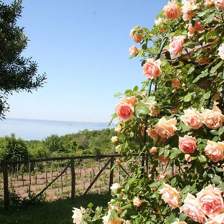 Landsted Gazzetta *