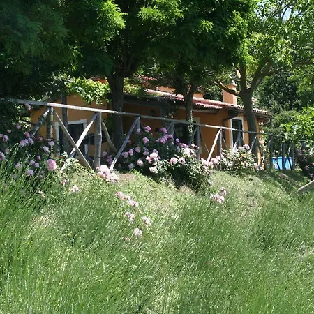 Landsted Gazzetta